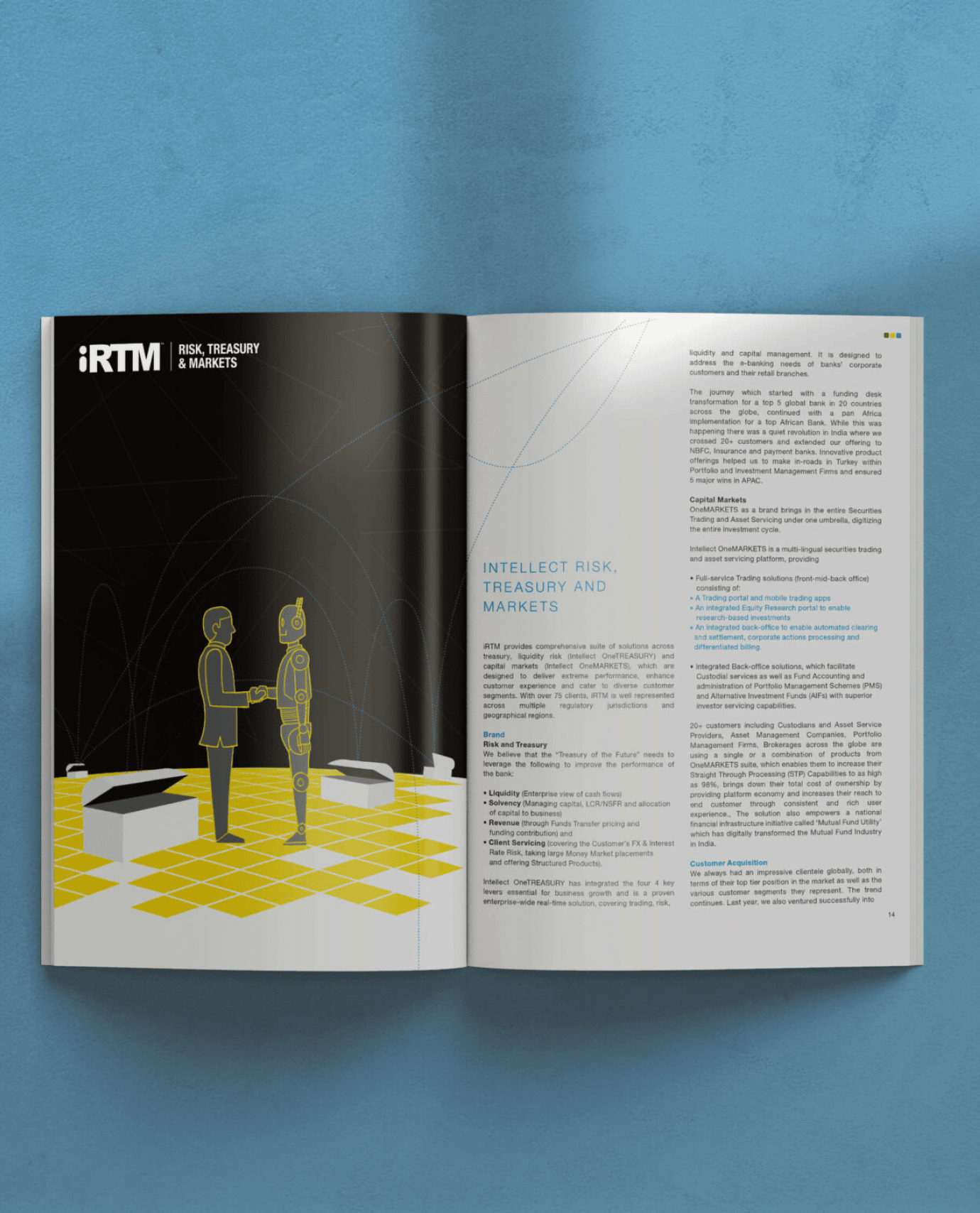 Intellect annual report mascot magazine
